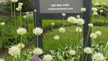 A sign for a modern homestead guesthouse with contact information and a website URL.