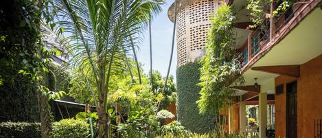 Un jardín exuberante con una palmera alta, setos y un edificio con balcón.