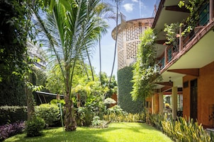 Un jardín exuberante con una palmera alta, setos y un edificio con balcón.