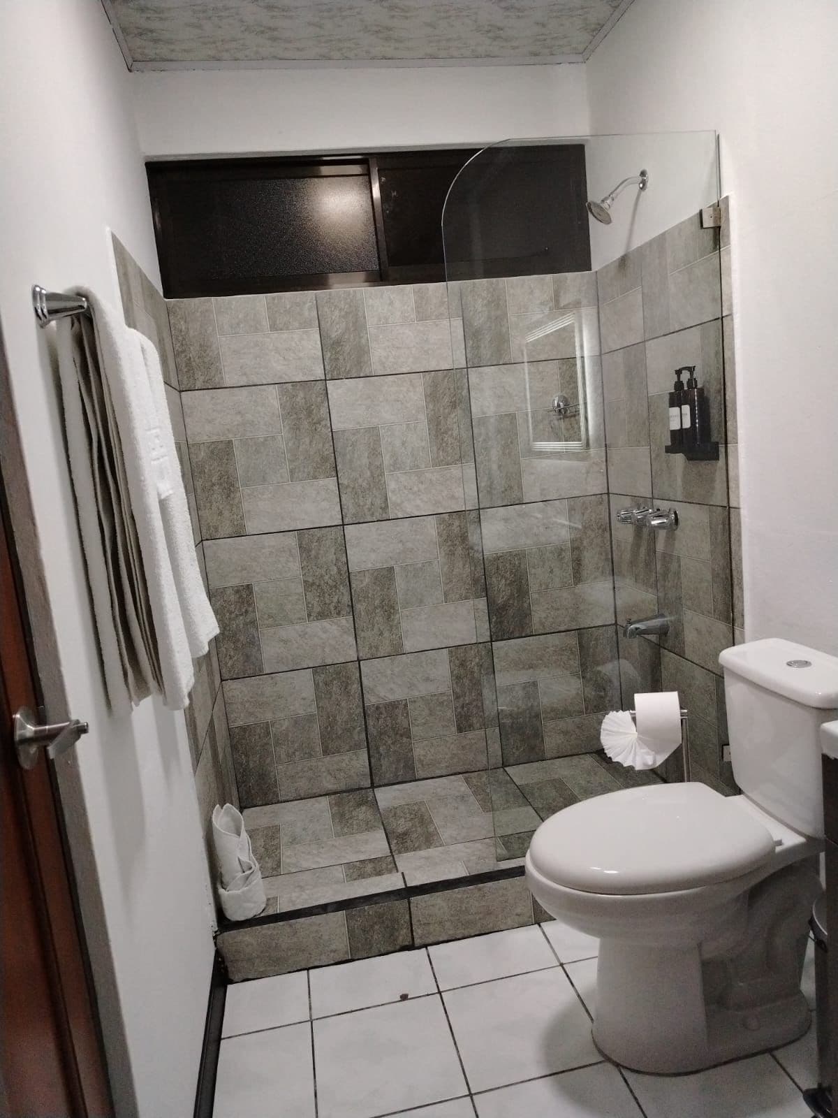 Un baño con ducha, inodoro y perchero para toallas.