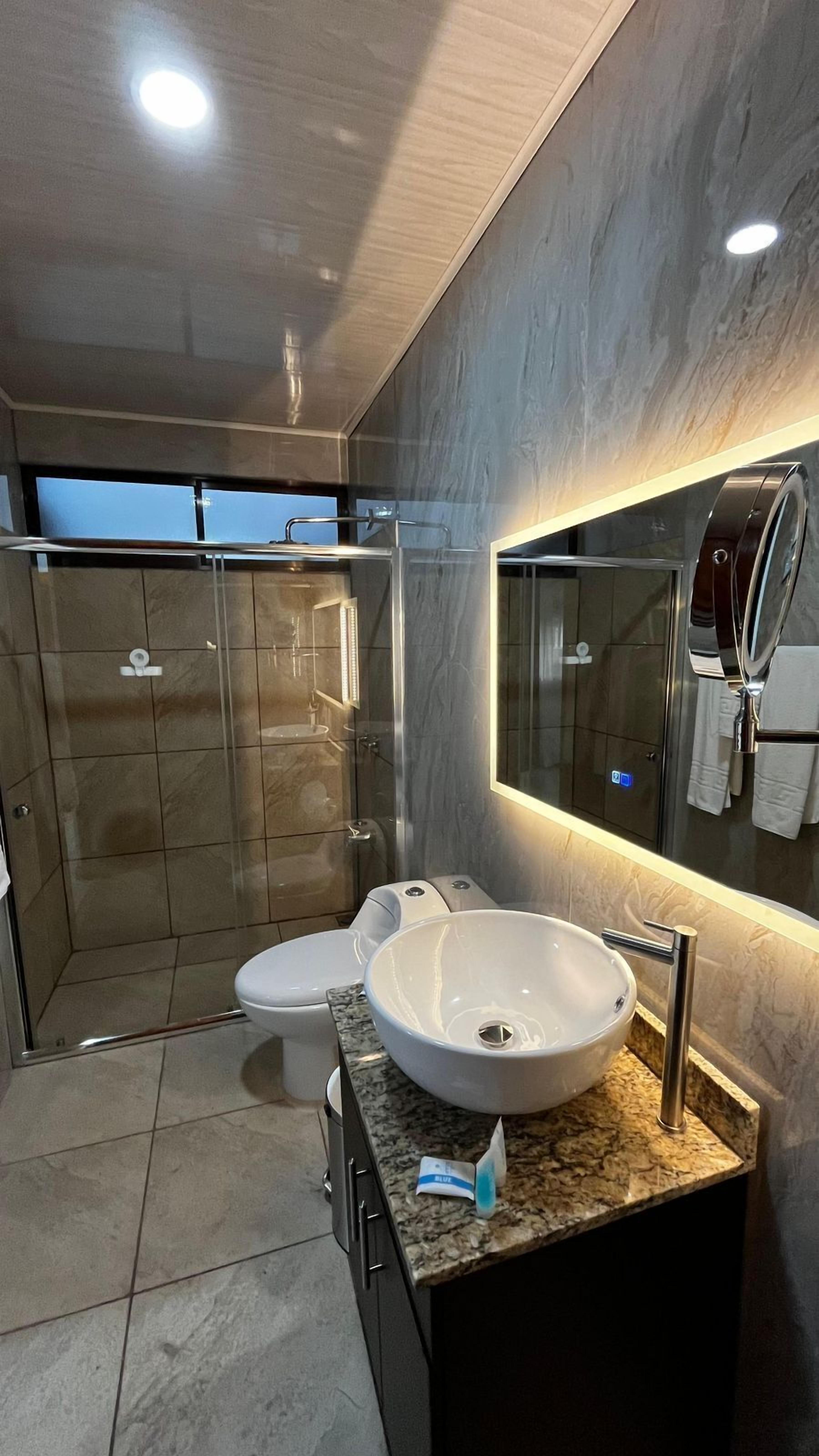 Suite Deluxe | Bathroom | Shower, free toiletries, hair dryer, towels