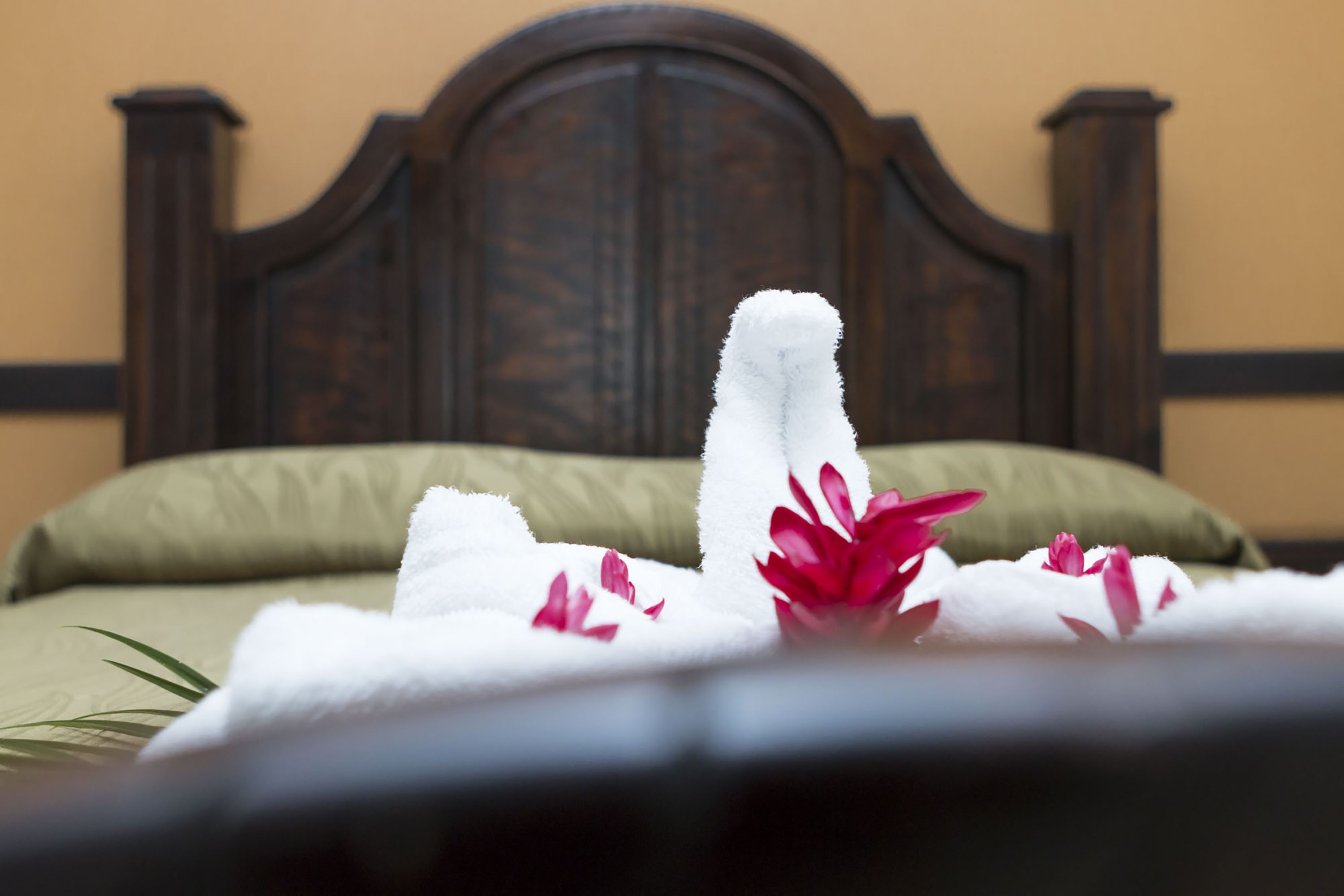 quadruple room, 2 double beds | 1 bedroom, in-room safe, free wifi