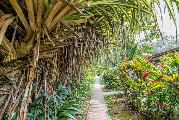 Property grounds - Ara Ambigua Lodge (Puerto Viejo)