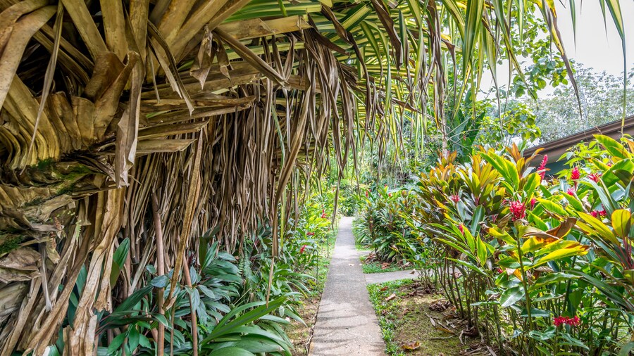 Ara Ambigua Lodge
