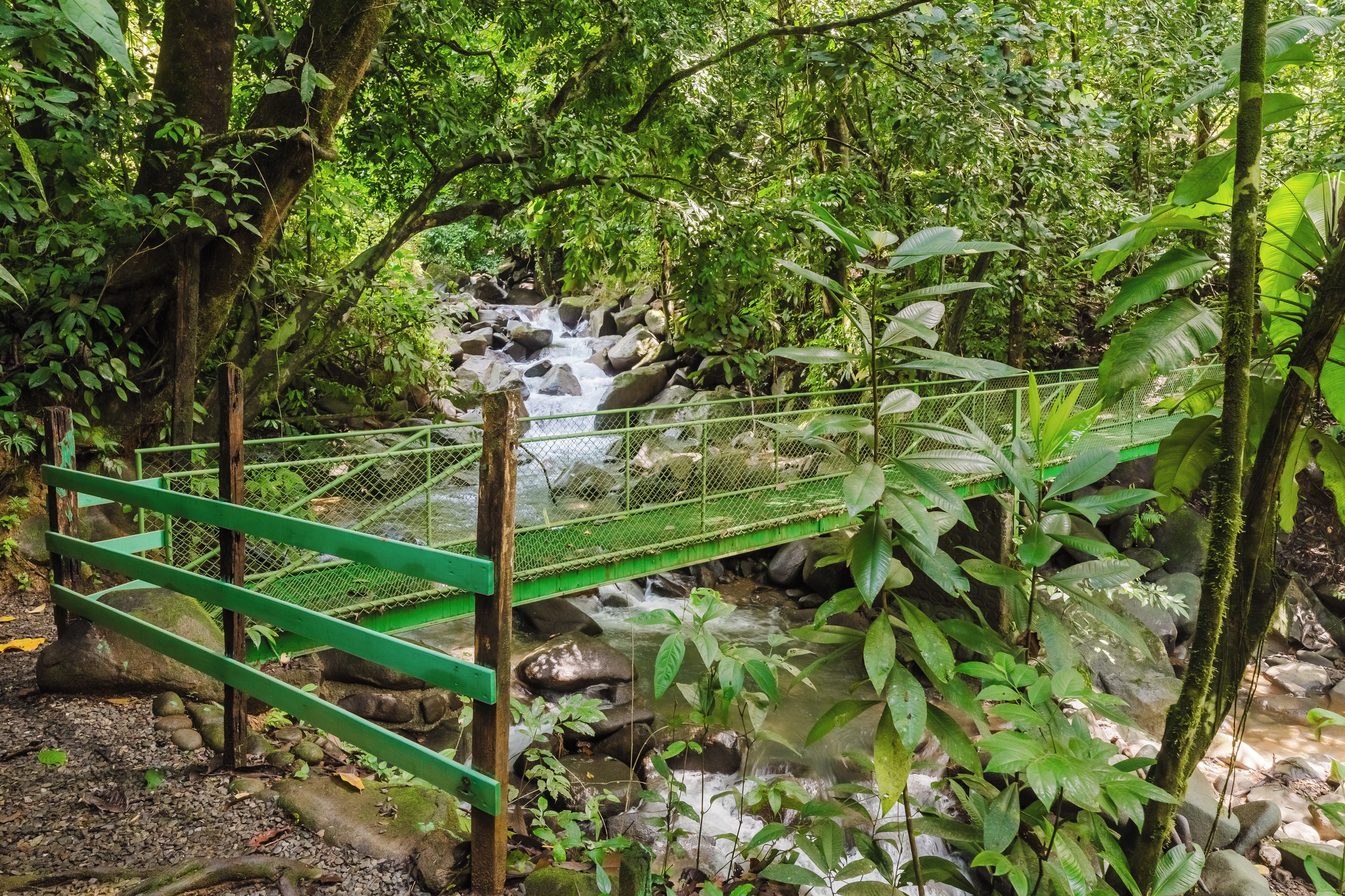 A green bridge over a stream in a forested area with rocks and vegetation.