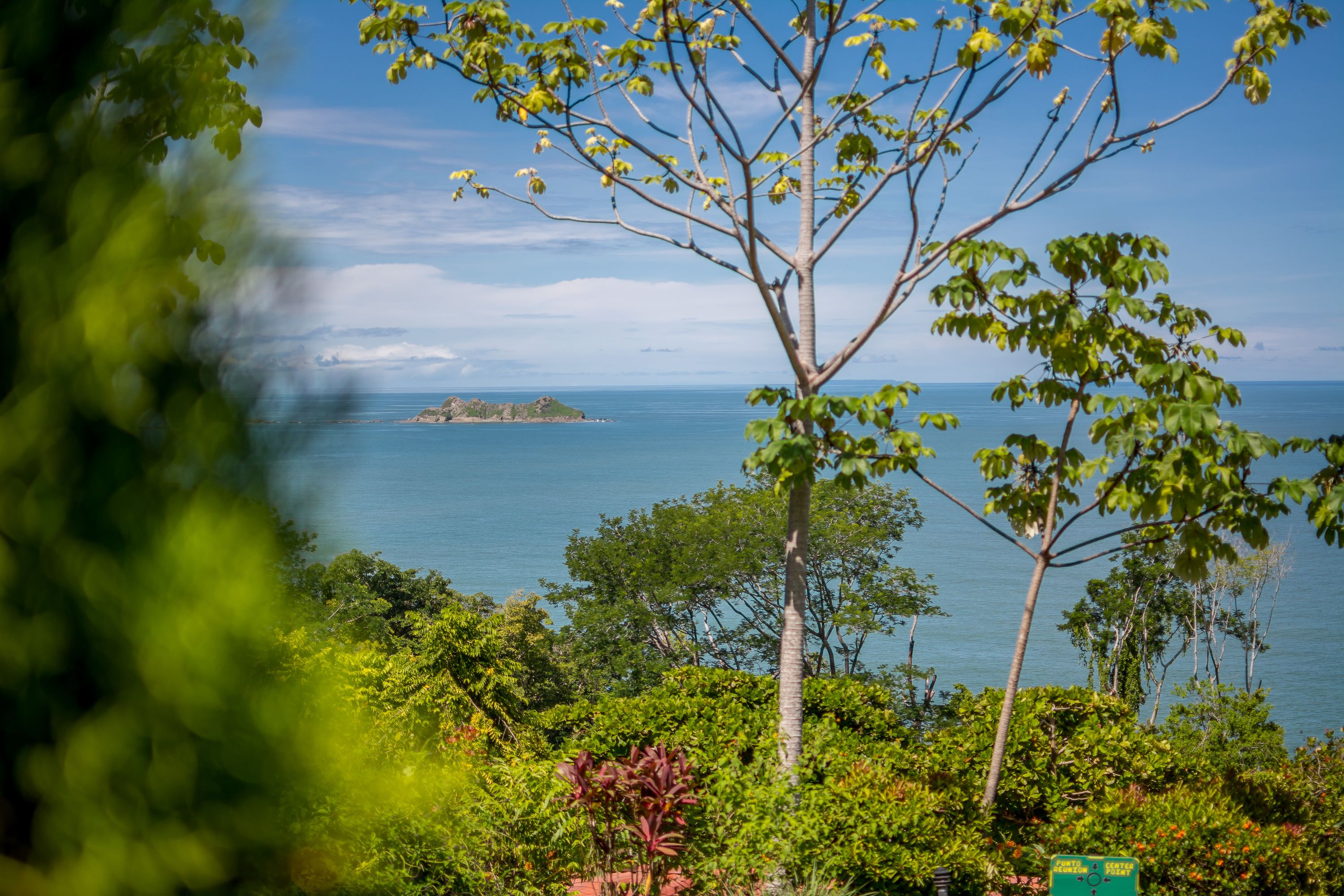 Eine tropische Landschaft mit Blick aufs Meer, üppigem Grün und wolkenlosem Himmel.