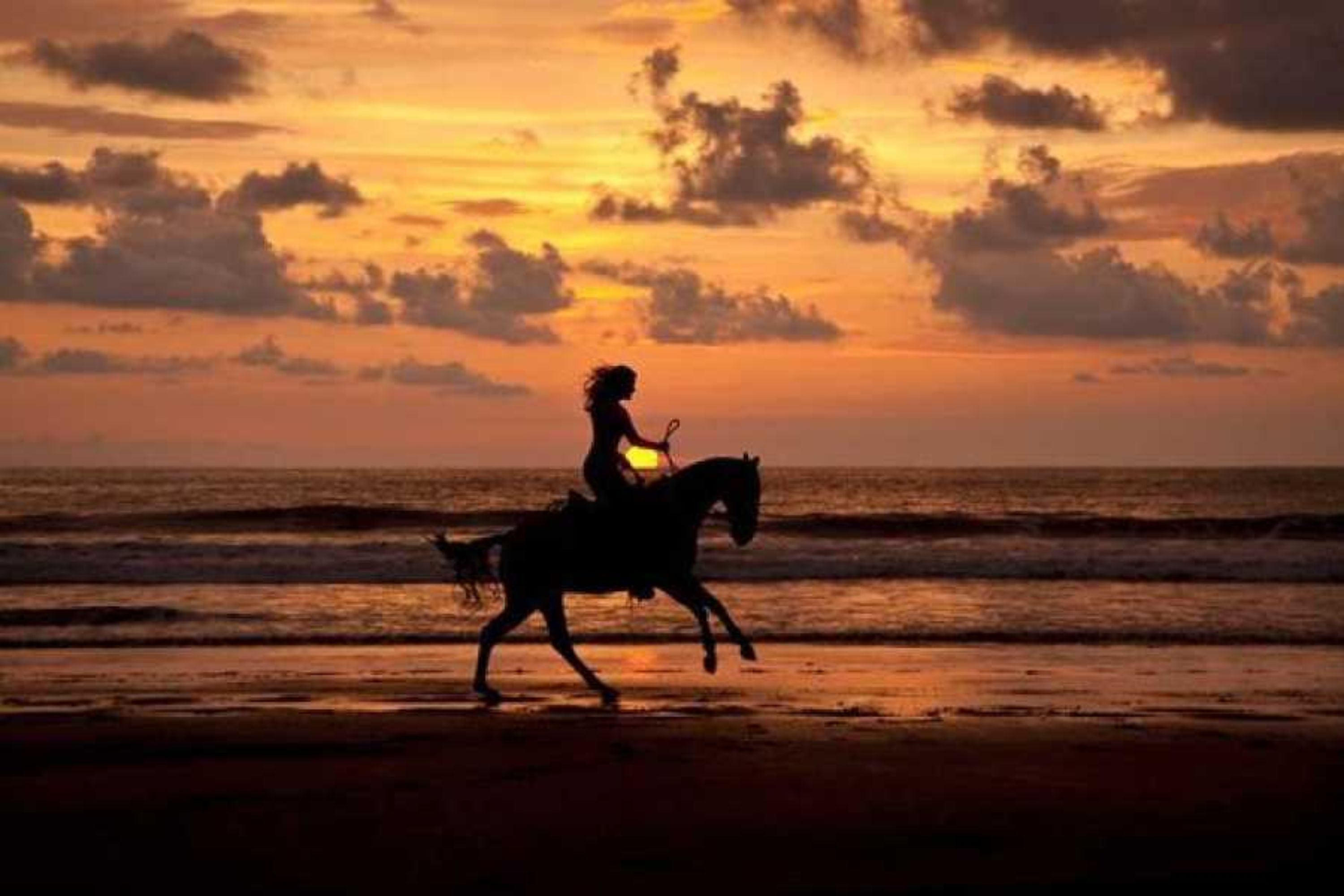 Silueta de una persona montando a caballo en la playa al atardecer.