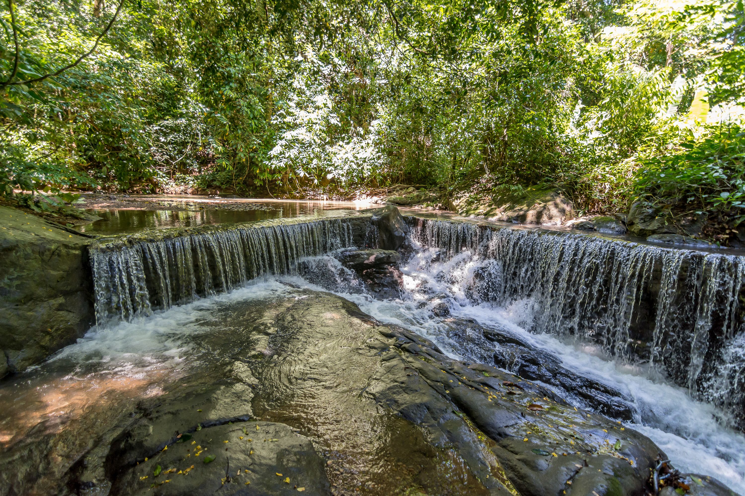 Ein Wasserfall stürzt über Felsen in einem bewaldeten Gebiet.