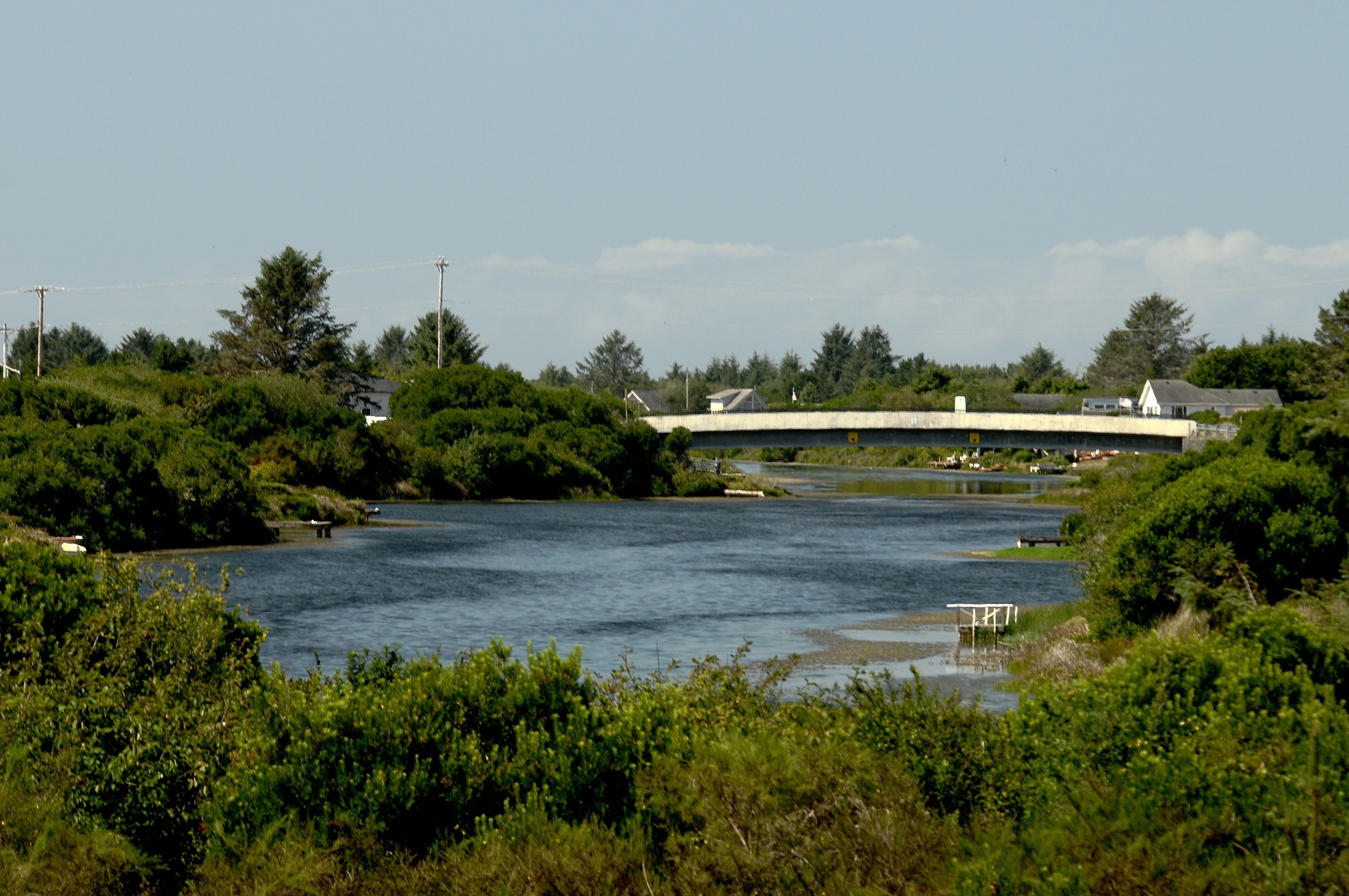 A river with a bridge, surrounded by greenery and buildings.