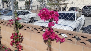 Jardín