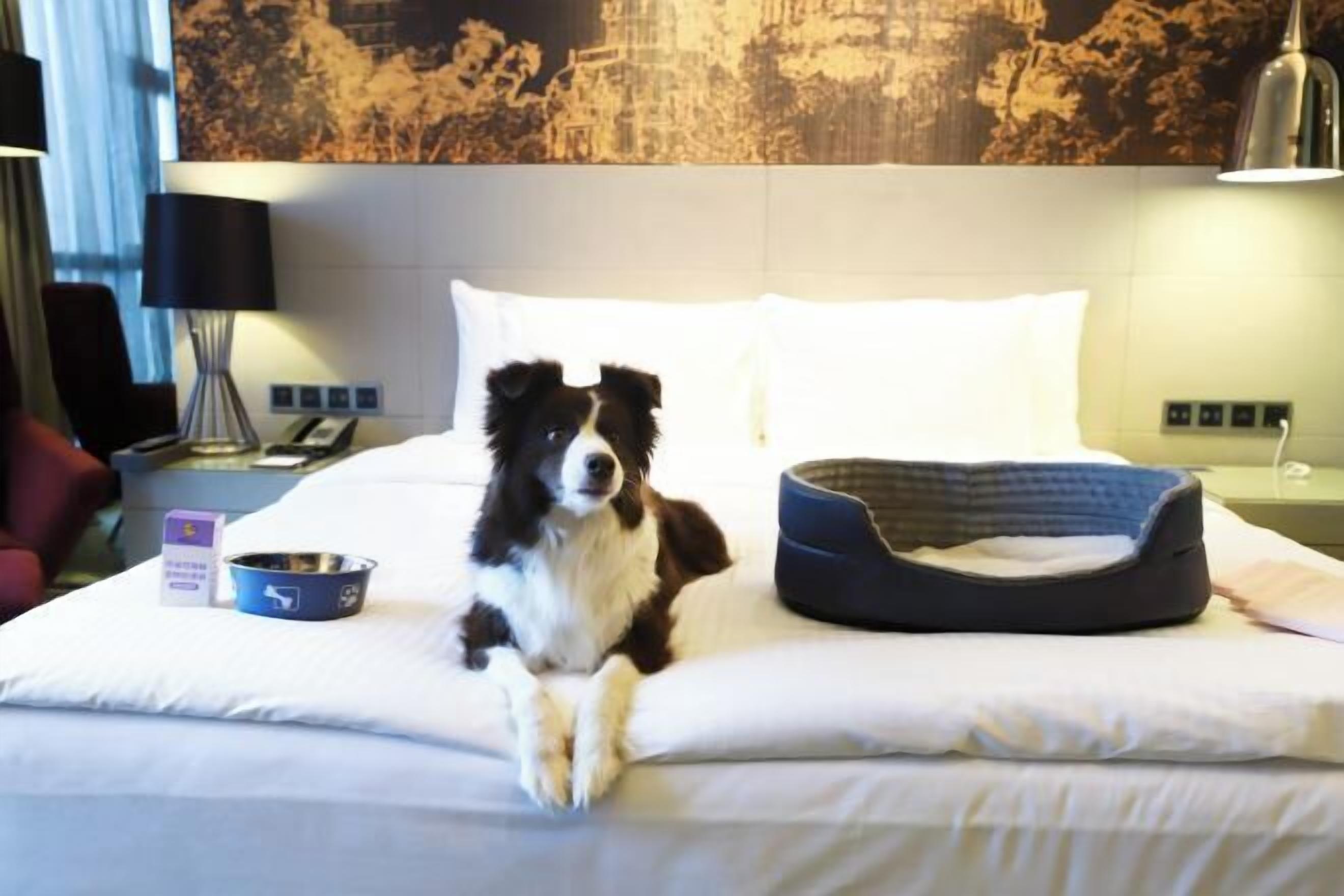 迷你吧、客房內保險箱、書桌、遮光布/窗簾