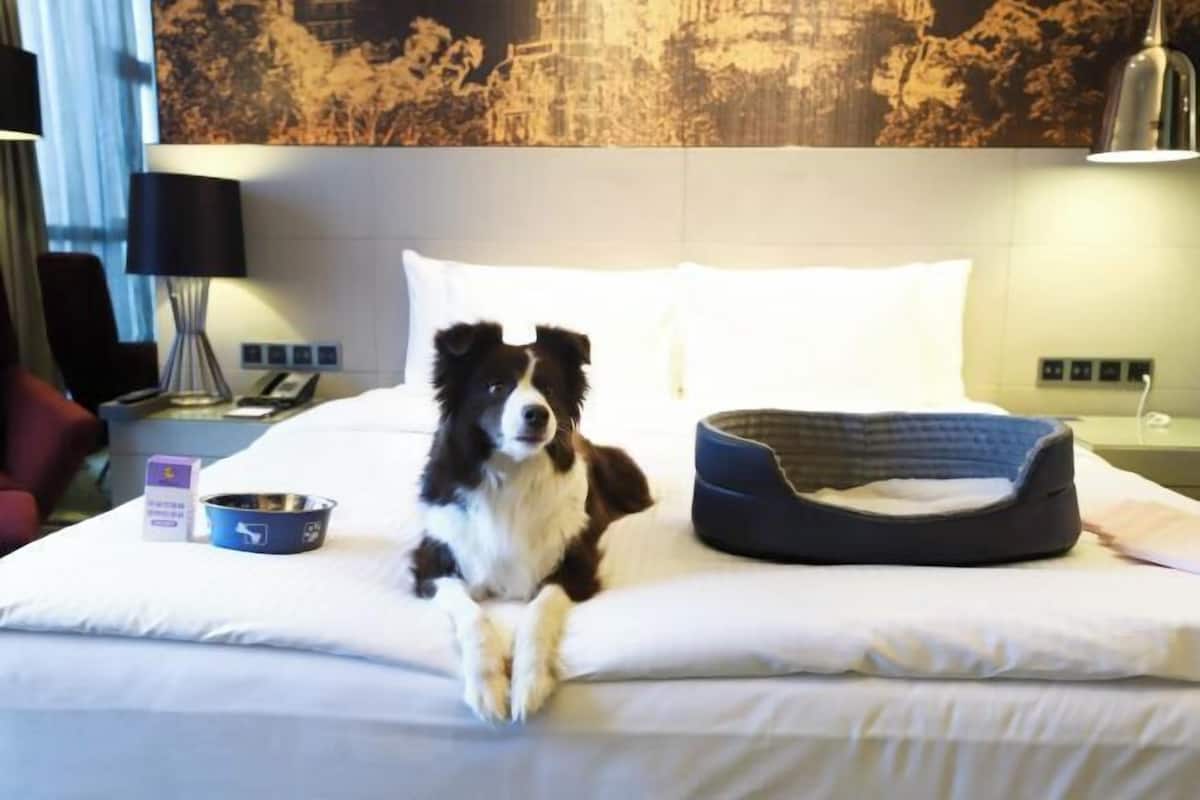 迷你吧、客房內保險箱、書桌、遮光布/窗簾