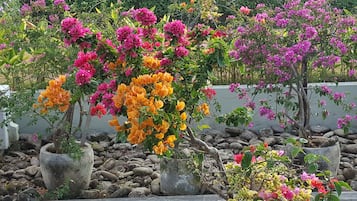 华丽双人房或双床房, 1 间卧室, 花园景观 | 花园景观