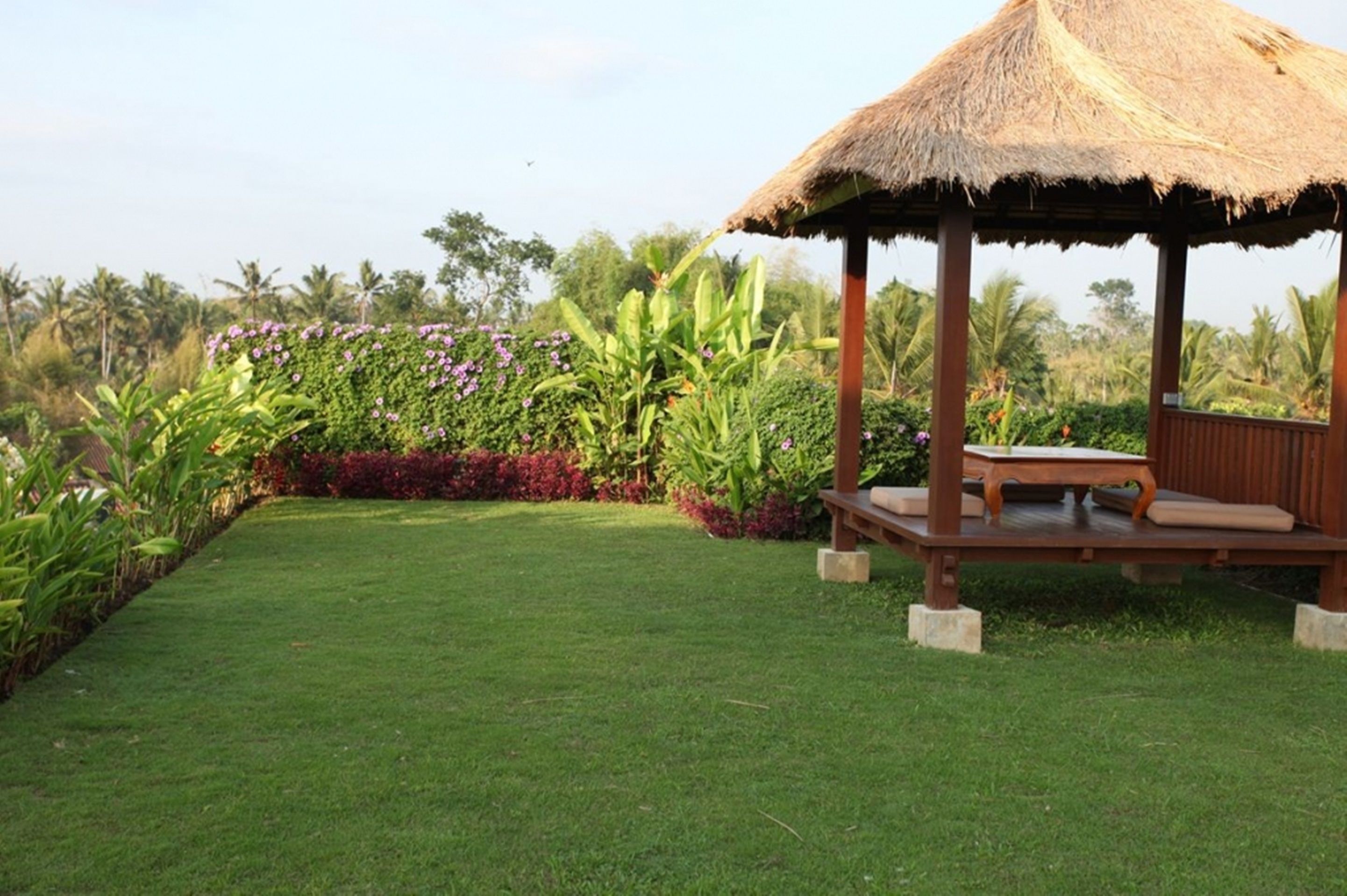 A gazebo with a thatched roof and wooden bench, surrounded by well-maintained grass and tropical plants.