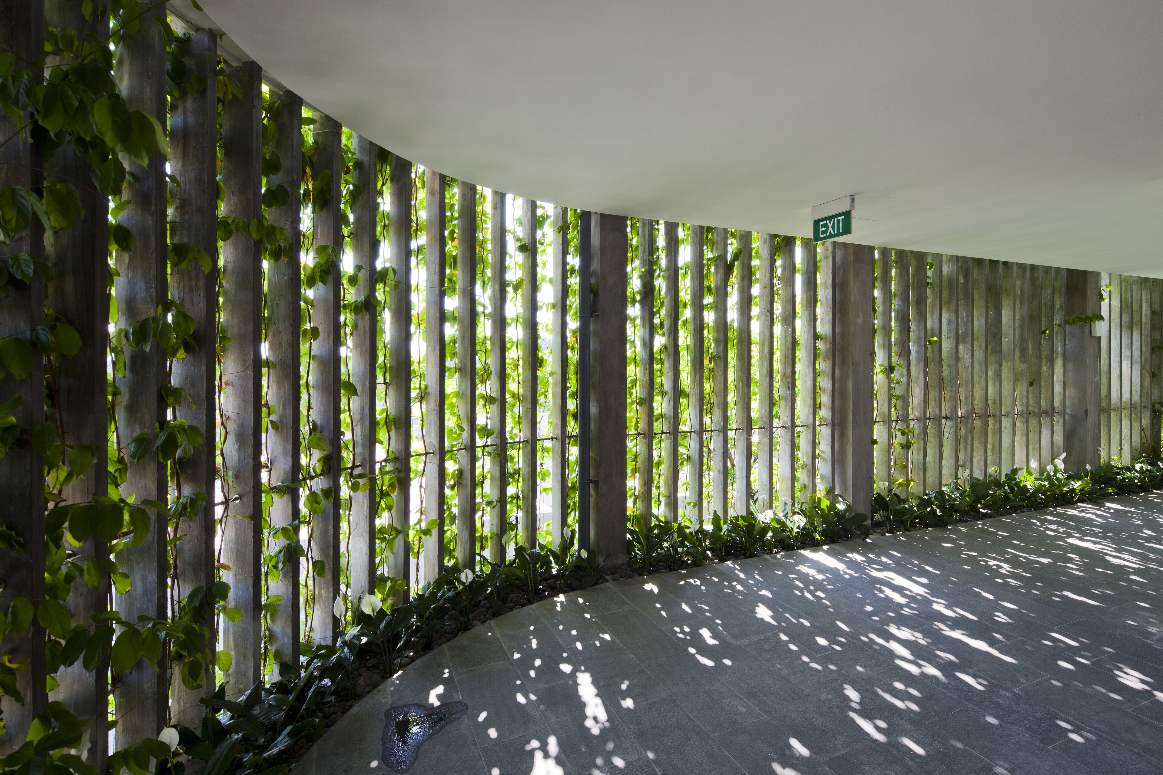 A corridor with vertical wooden panels and greenery, an exit sign, and a curved tiled floor.