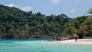 A beach with clear turquoise water, a sandy shore, and dense green forest in the background. - Tinkerbell Resort (Ko Kood)