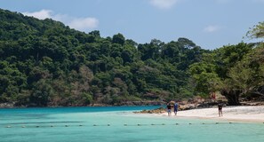 Ecotours - Tinkerbell Resort (Ko Kood)
