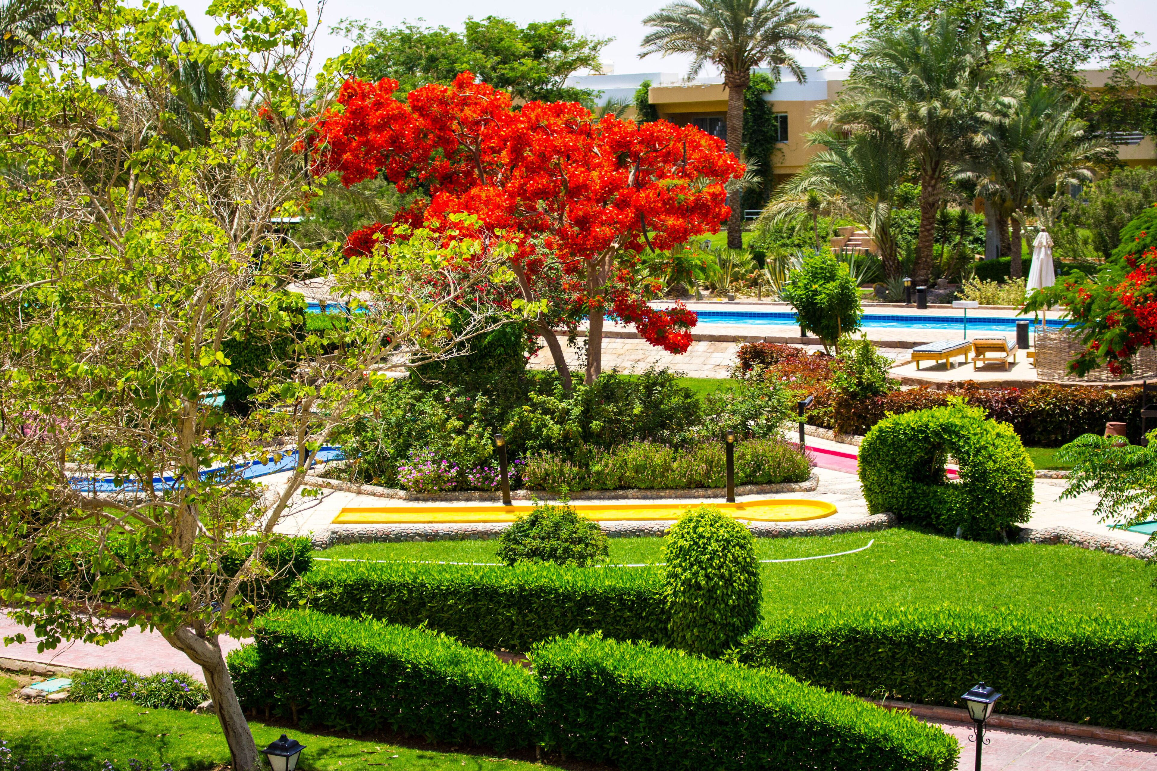 Kamar Double atau Twin Standar, pemandangan kolam renang | Eksterior