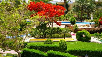 Kamar Double atau Twin Standar, pemandangan kolam renang | Eksterior