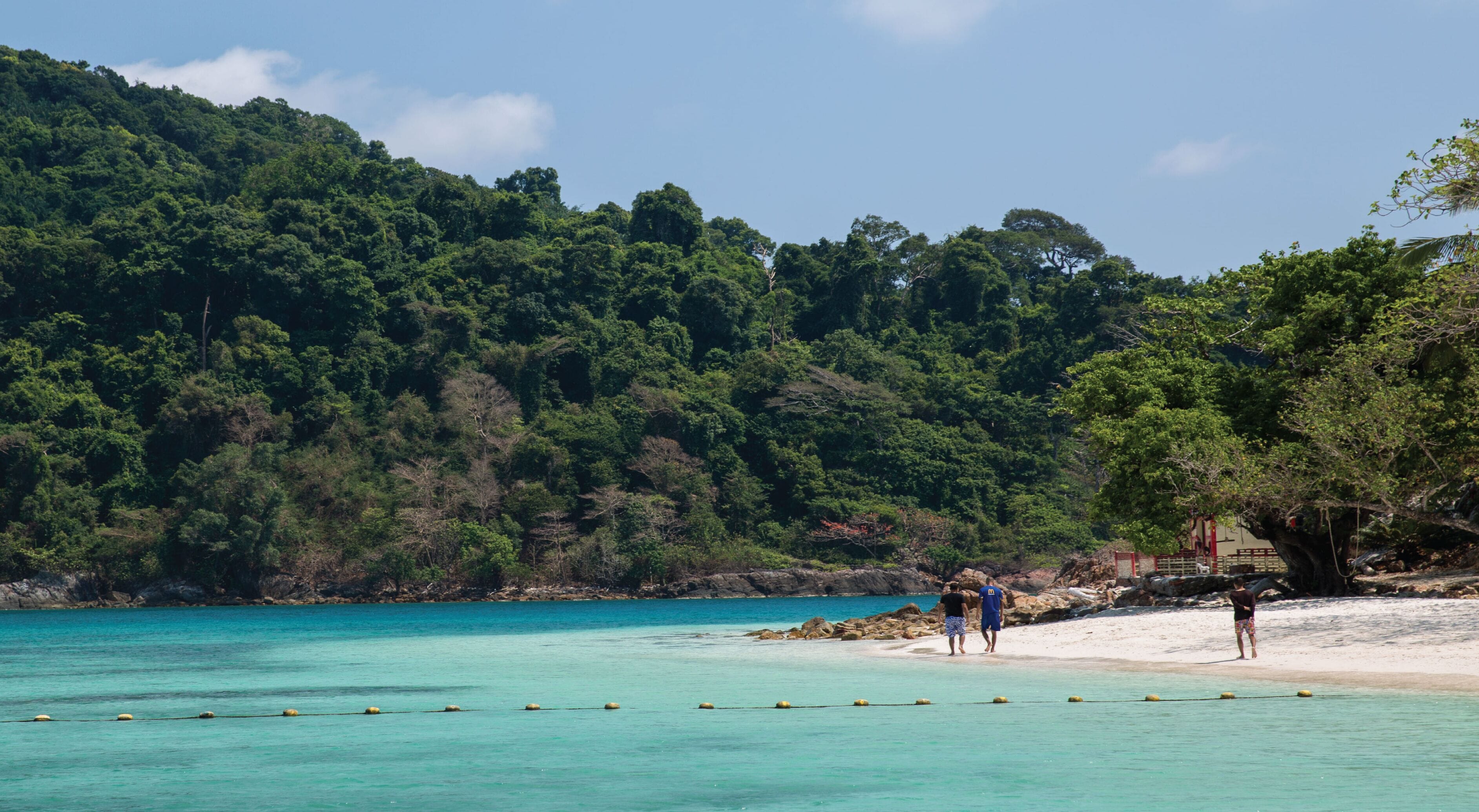 Ein Strand mit klarem türkisblauem Wasser, einem Sandstrand und dichtem Grünwald im Hintergrund.