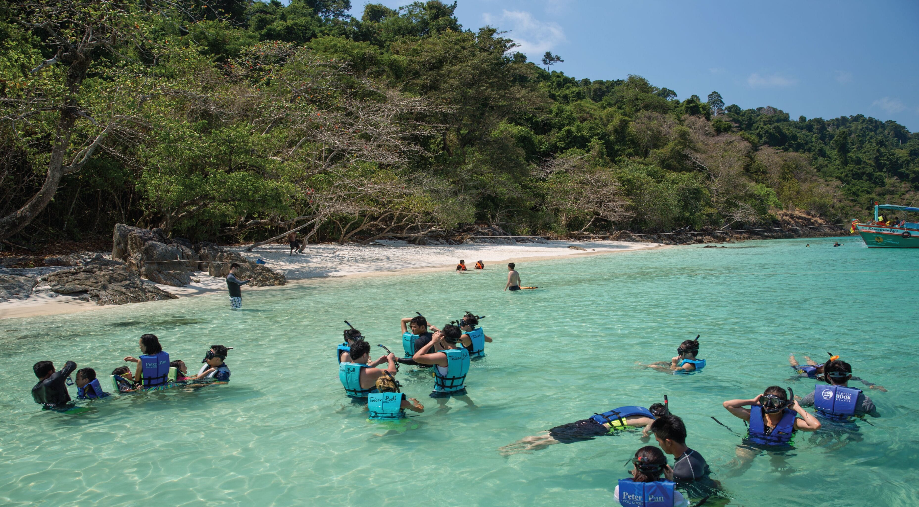 A group of people snorkeling in clear turquoise waters with a beach and dense foliage in the background.