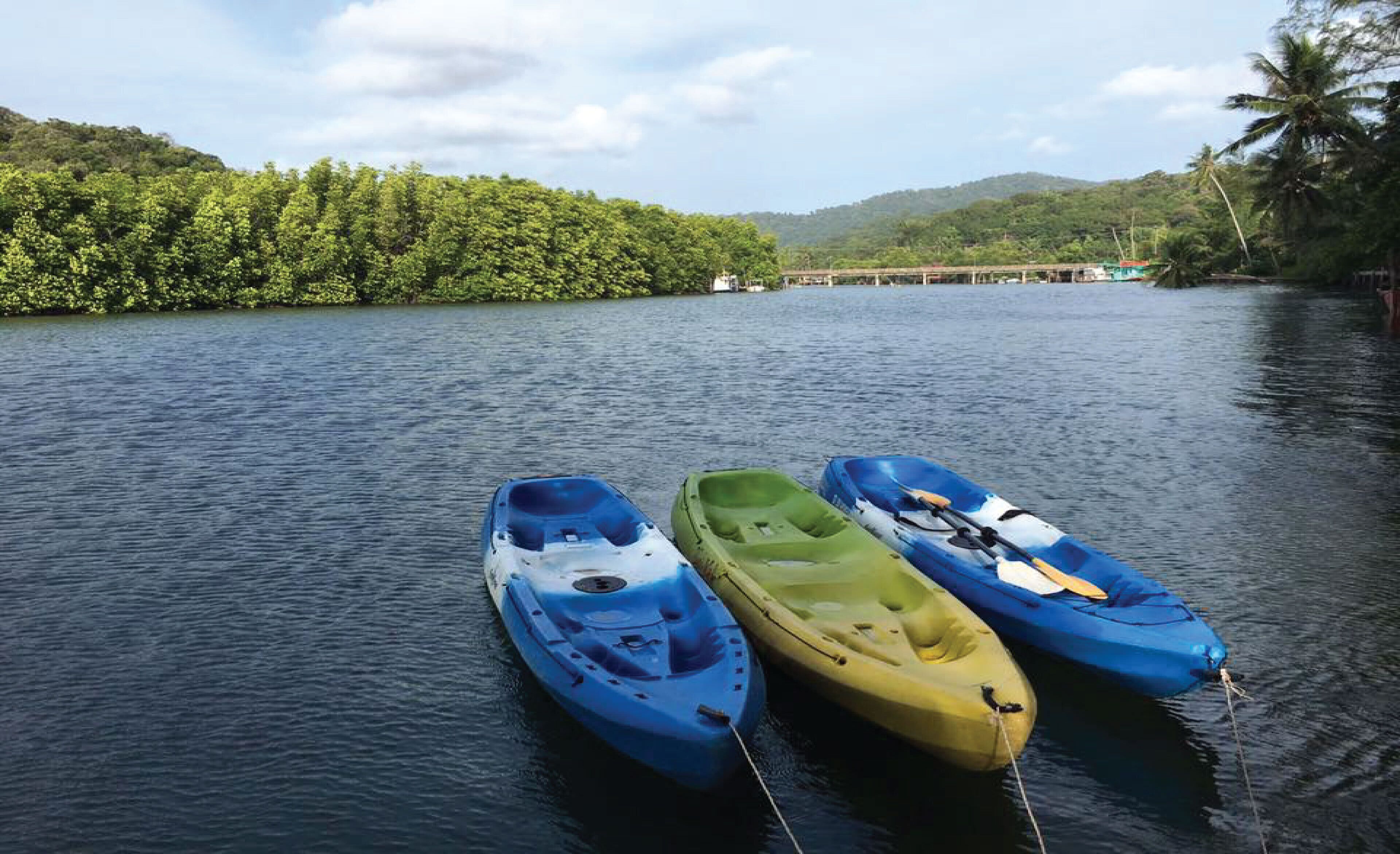 Tres kayaks amarrados a un muelle junto a un río tranquilo, con un promontorio boscoso al fondo.