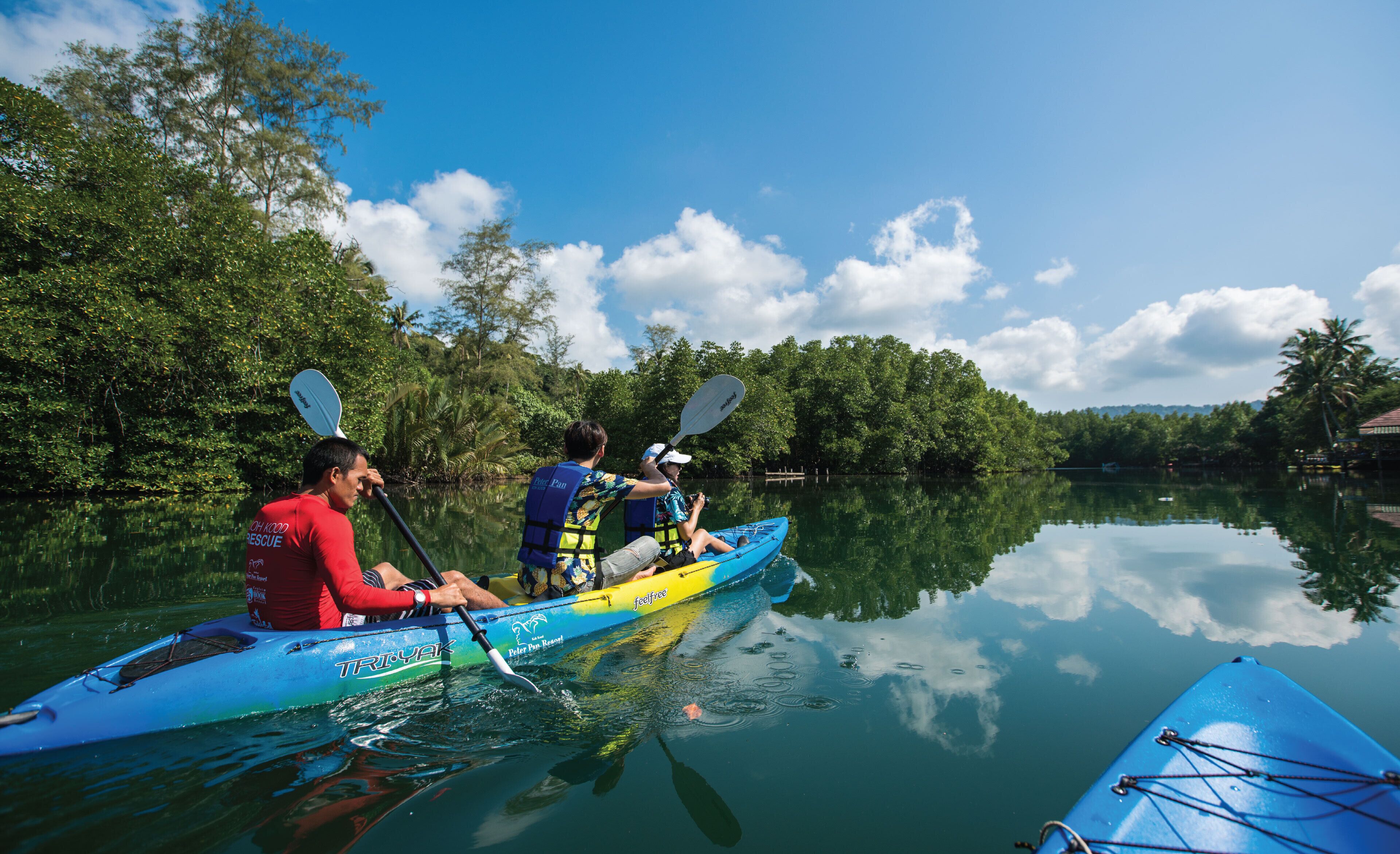 Two people kayaking on a calm river surrounded by lush greenery.