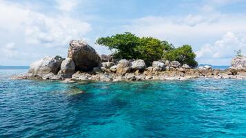 Una isla rocosa con agua turquesa cristalina y un árbol.