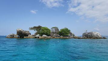 A rocky island with clear blue water and a few trees.