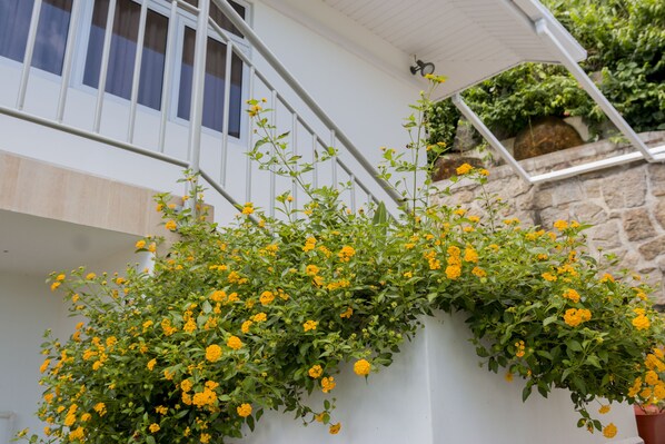 Exterior - Le Manglier Guest House (Mahé Island)