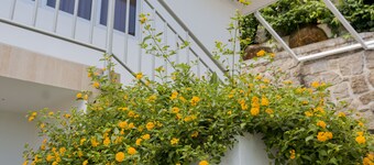 Le Manglier Guest House