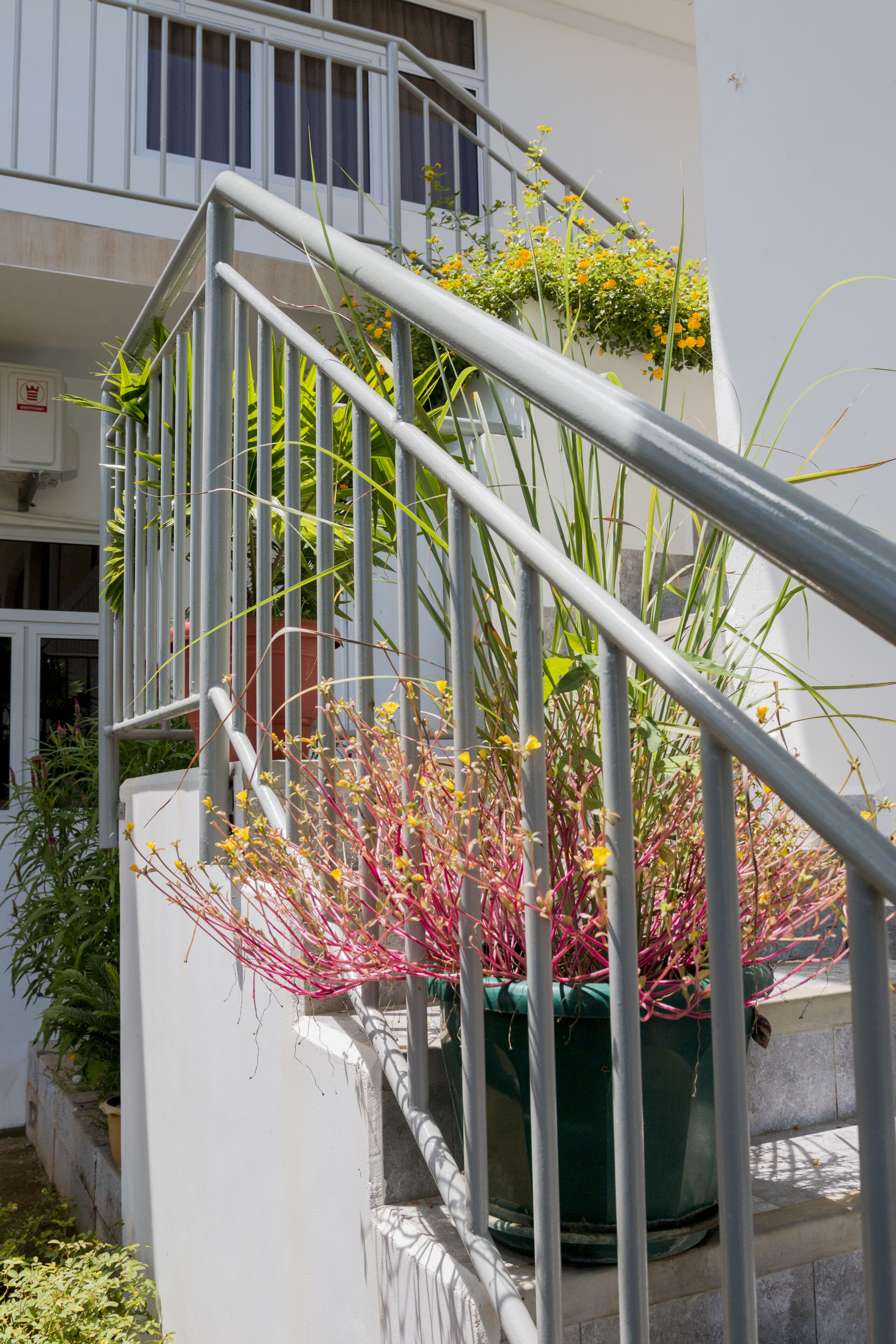 A staircase with metal railings, a green planter with plants, and a white building facade.