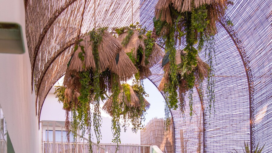 Mikasa Ibiza Boutique Hotel - Adults Only