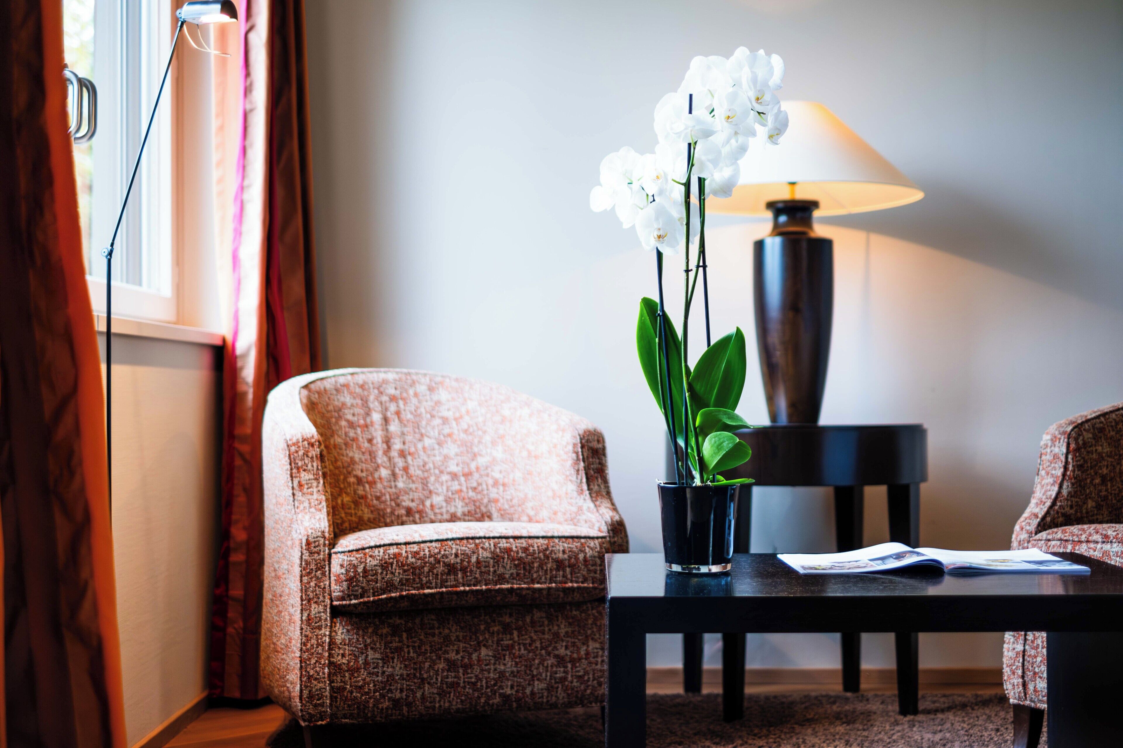 junior suite | living area | flat-screen tv