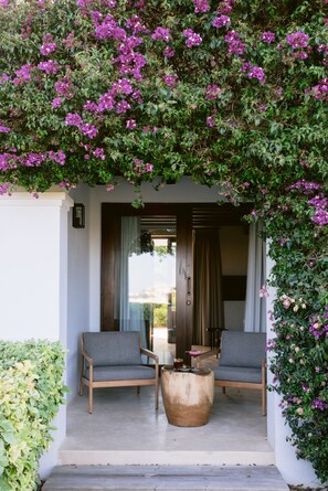 Premium-Doppelzimmer | Terrasse/Patio