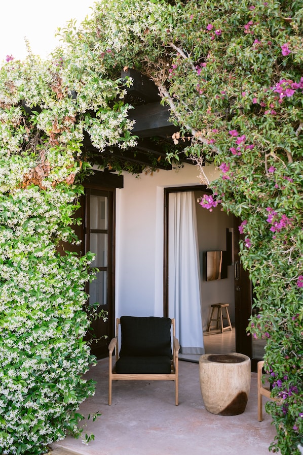 Premium-Doppelzimmer | Terrasse/Patio