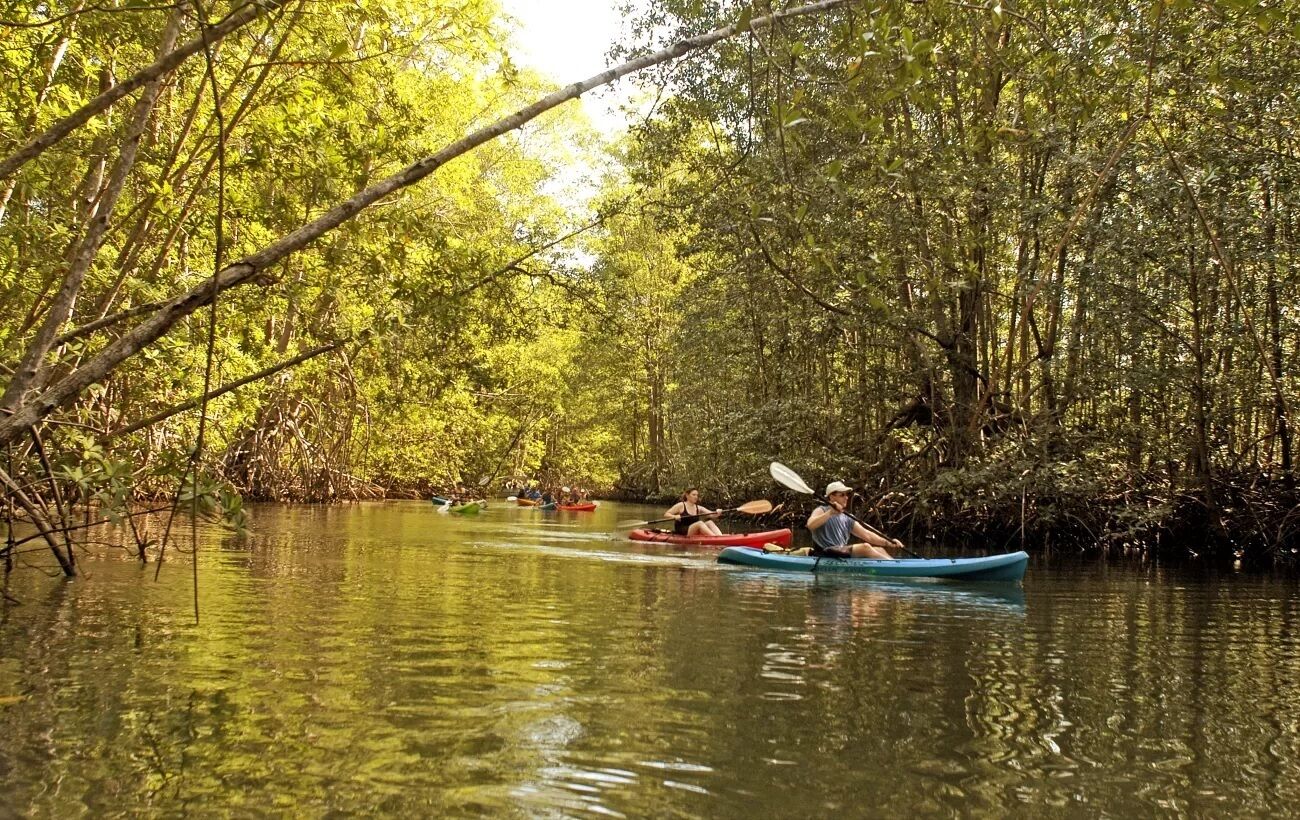 Foto - Hotel Divisamar by LHR