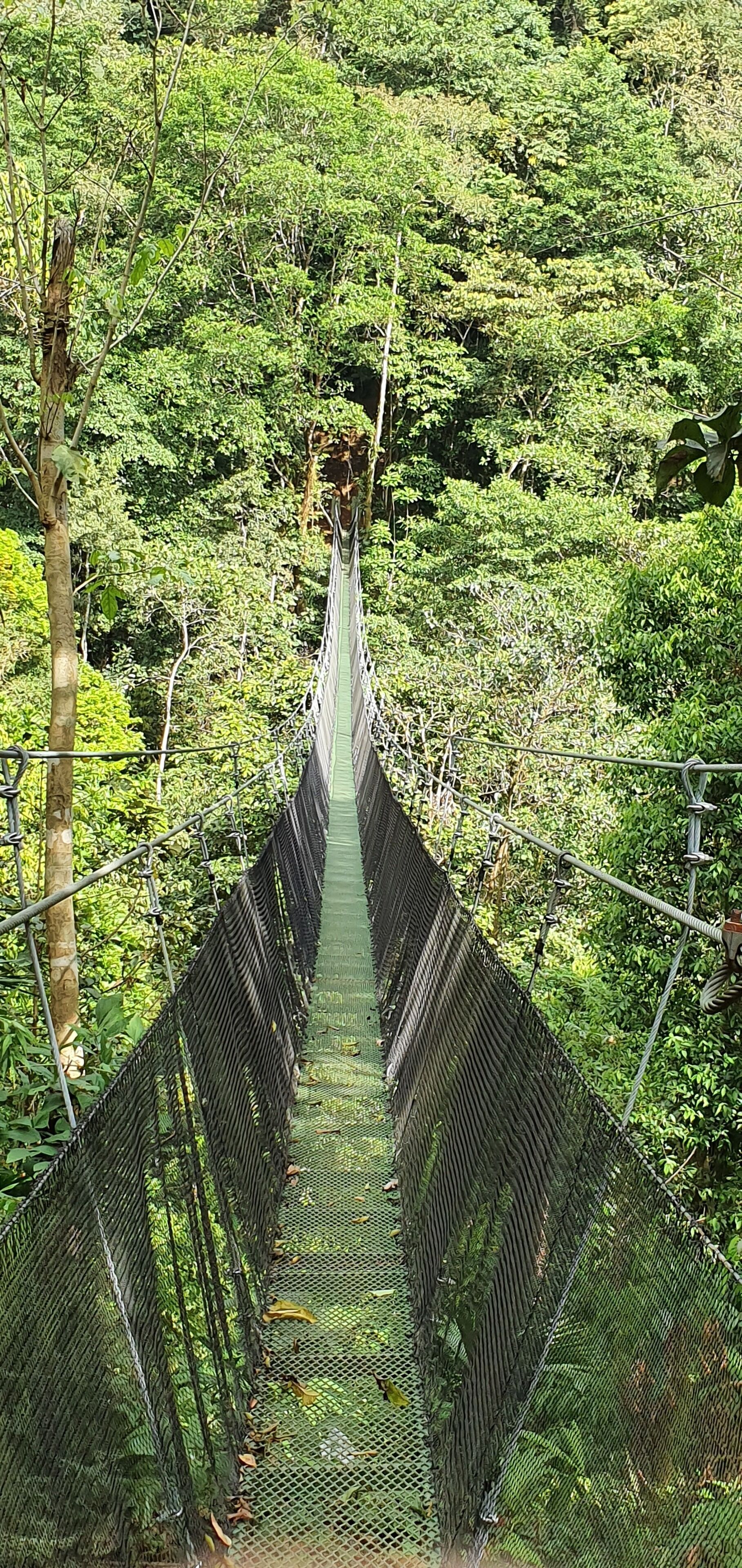 Foto - Hotel Divisamar by LHR