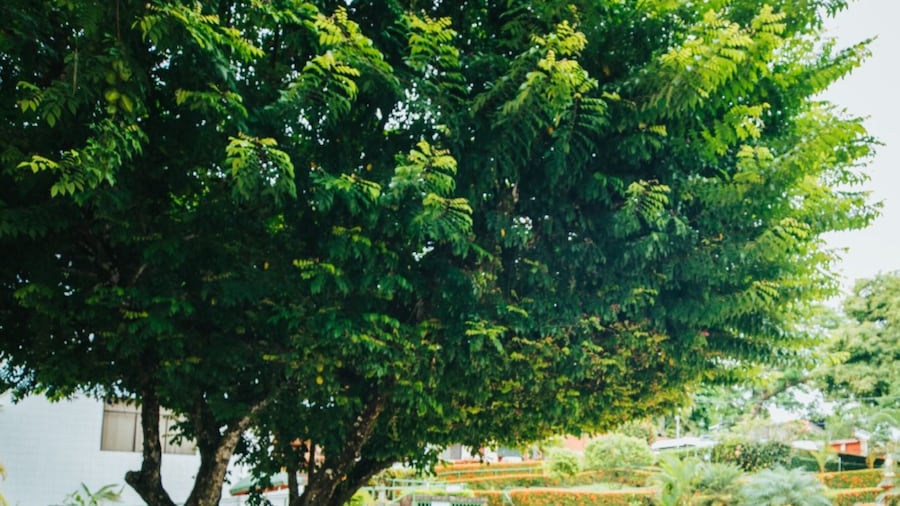 Hotel Divisamar by LHR