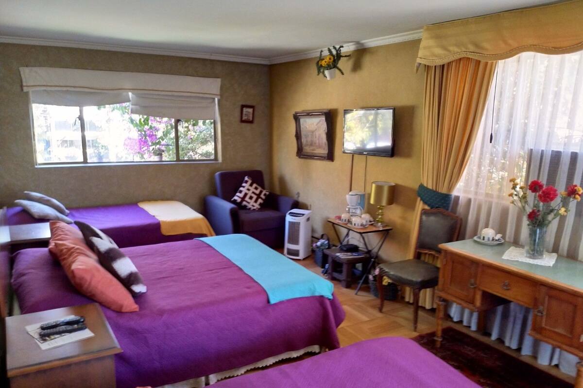 Family Room (Bugambilias) | Pemandangan dari bilik