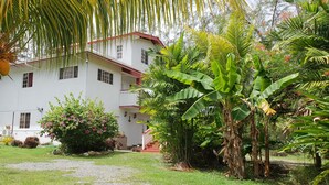 A white building with a red roof, surrounded by lush greenery including banana trees and flowering plants. - Tobago Tranquil Guesthouse (Buccoo)