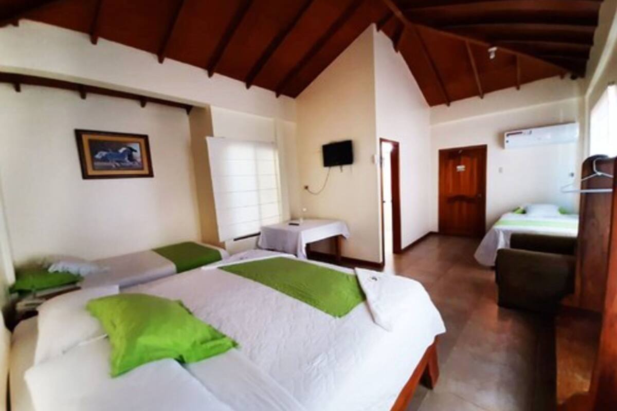 Un dormitorio con dos camas, un escritorio, una silla y un televisor.