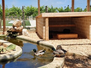 Children’s play area – outdoor