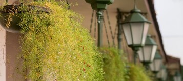 A building with hanging green plants and traditional green street lamps.