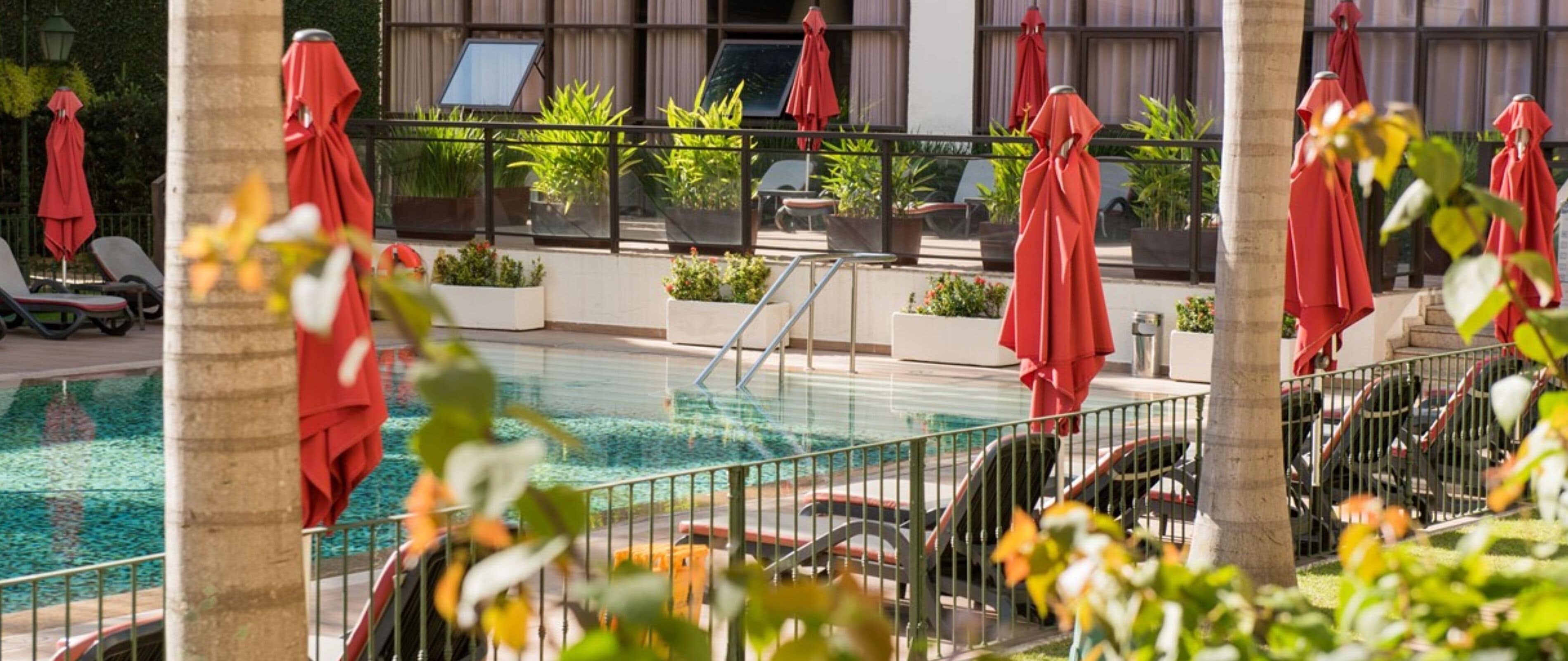 Zona de piscina con sillones de descanso y sombrillas, rodeada de plantas en macetas y un edificio con amplias ventanas.