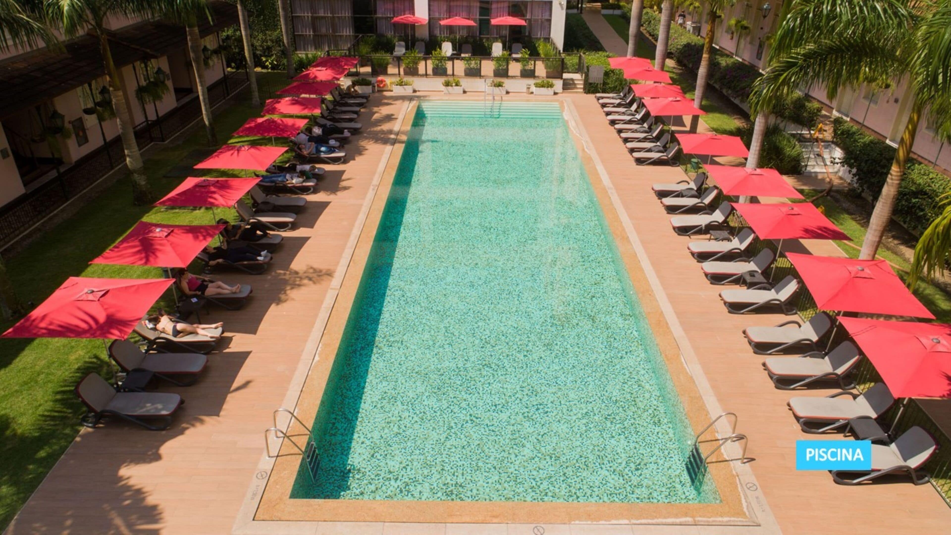 Outdoor pool, sun loungers