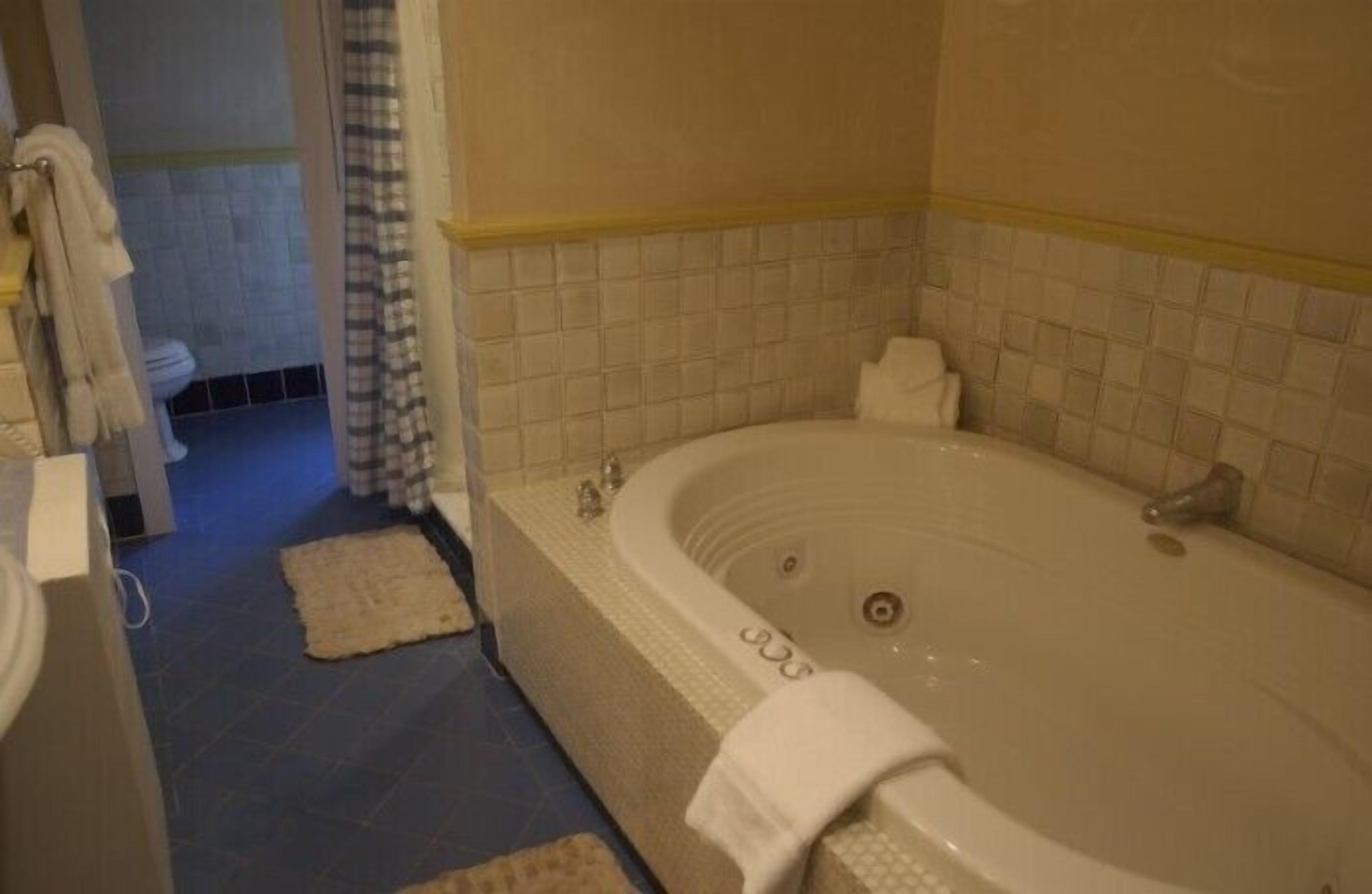 A bathroom with a large bathtub, a shower area, and a toilet visible in the background.