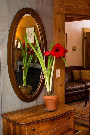En trækommode med et spejl, en potteplante og en rød blomst.