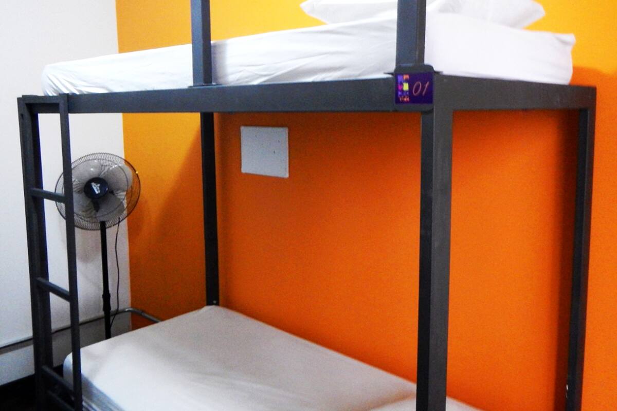 Shared Dormitory, Mixed Dorm (4 beds Papagaio)