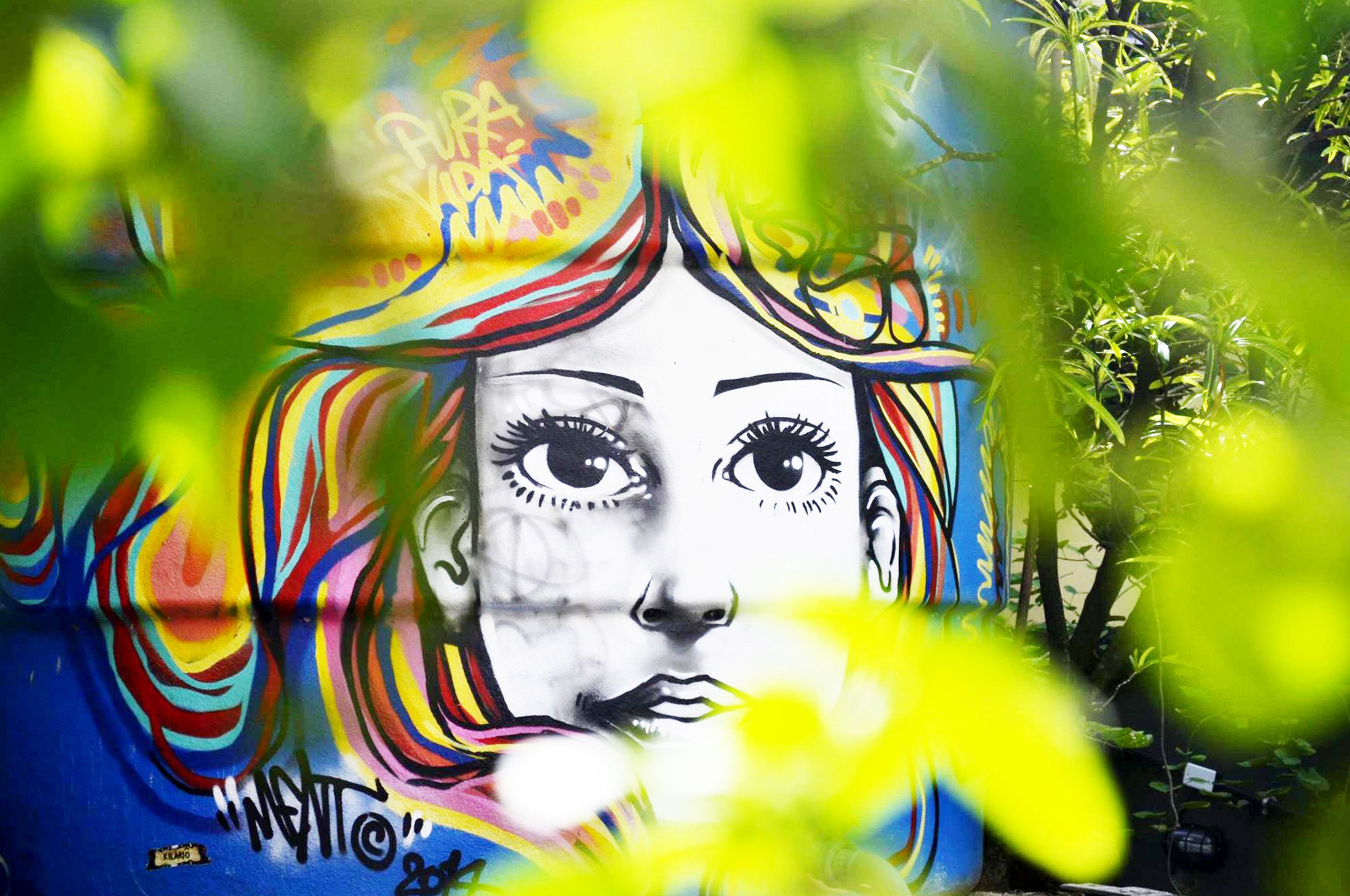 Foto - Pura Vida Hostel